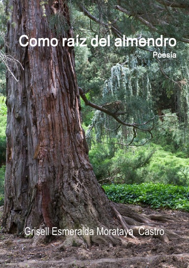 Como raíz de almendro.