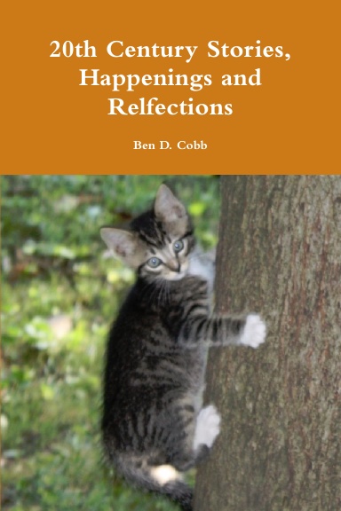 20th Century Stories, Happenings and Relfections