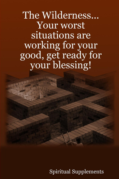 The Wilderness... Your Worst Situations Are Working for Your Good, Get Ready for Your Blessing!
