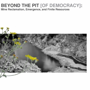 Beyond the Pit [of Democracy]