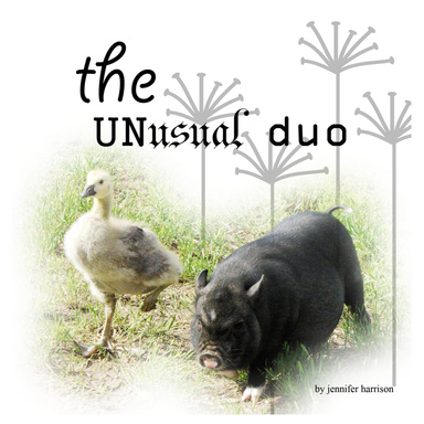 the unusal duo