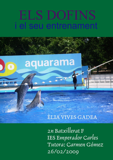 Els Dofins i el seu entrenament