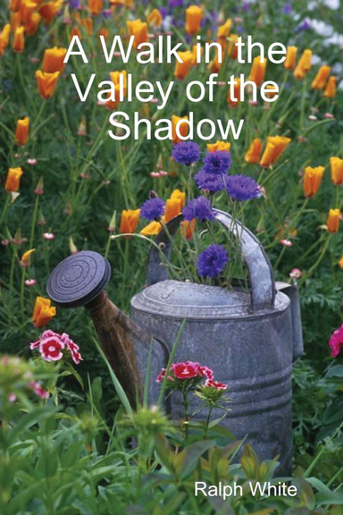 A Walk in the Valley of the Shadow