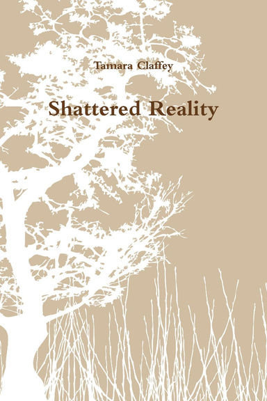 Shattered Reality