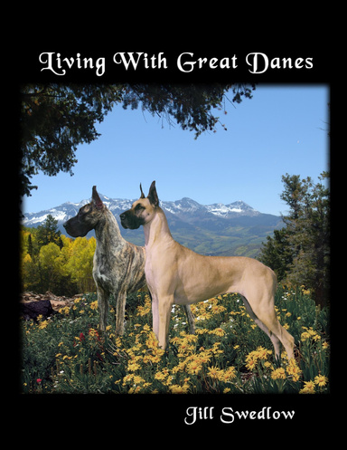 Living With Great Danes