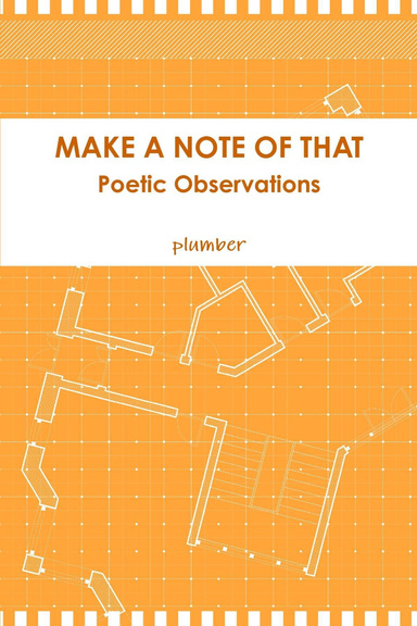 MAKE A NOTE OF THAT Poetic Observations