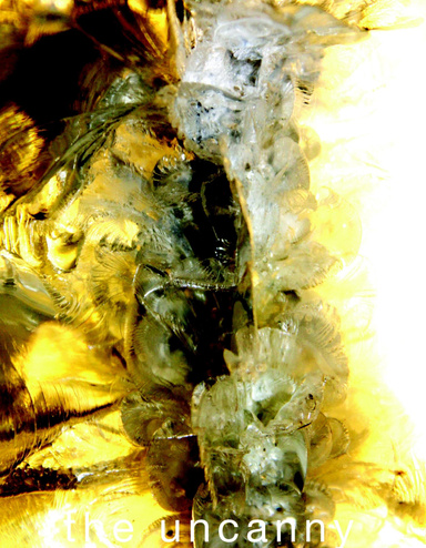final thesis 07.2010