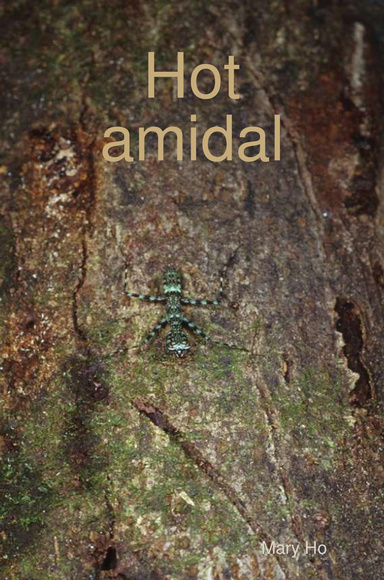 Hot amidal