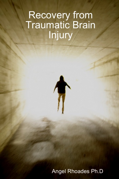 Recovery from Traumatic Brain Injury Book Series 1-5
