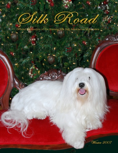 The Silk Road  Winter 2007