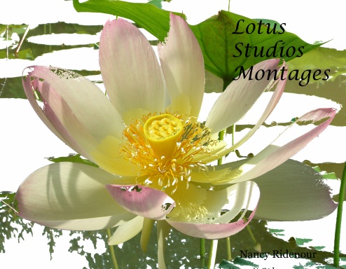 Lotus Studios Montages