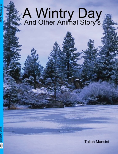 A Wintry Day