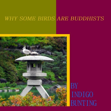 WHY SOME BIRDS ARE BUDDHISTS
