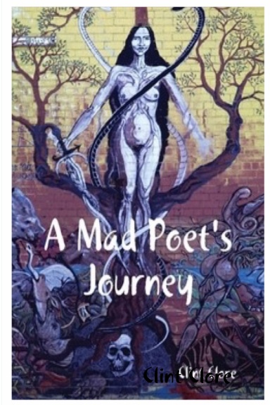 A Mad Poet's Journey