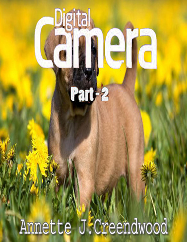 DIGITAL CAMERA