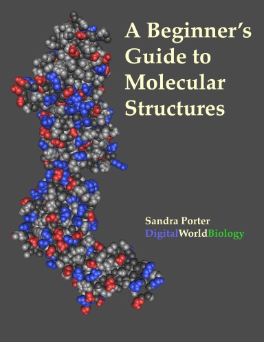 A Beginner's Guide to Molecular Structures
