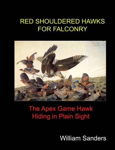 RED SHOULDERED HAWKS FOR FALCONRY The Apex Game Hawk Hiding in Plain Sight