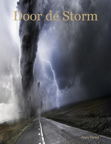 Door de Storm