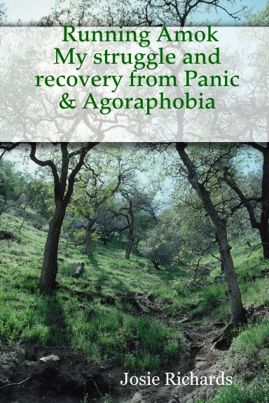 Running Amok: My struggle and recovery from Panic & Agoraphobia