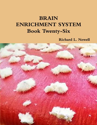 BRAIN ENRICHMENT SYSTEM Book Twenty-Six
