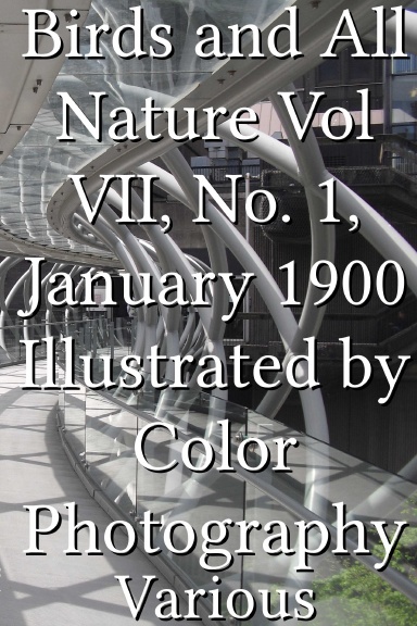 Birds and All Nature Vol VII, No. 1, January 1900 Illustrated by Color Photography