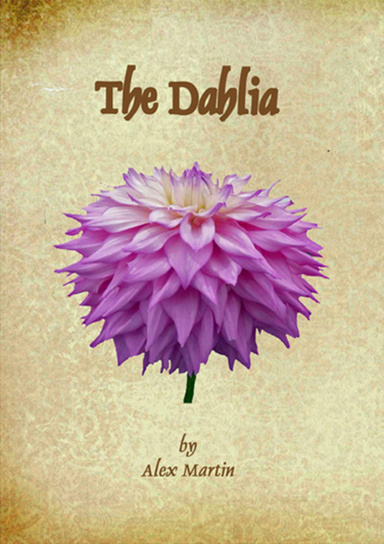 The Dahlia