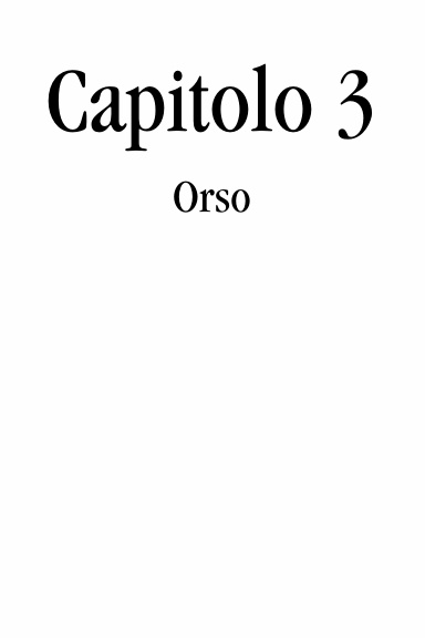 Capitolo 3 - Orso
