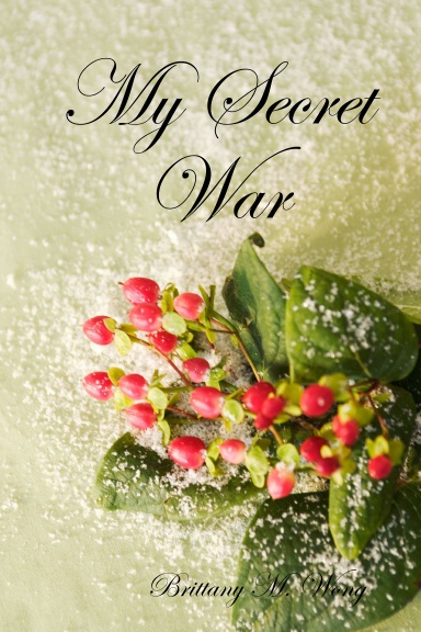 My Secret War
