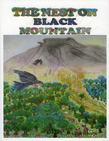 The nest on Black Mountain