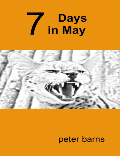 7 Days In May