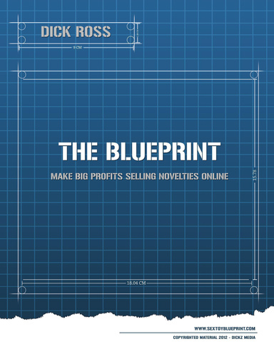 The Blueprint: Make Big Profits Selling Novelties Online