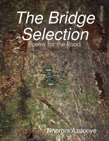 The Bridge Selection