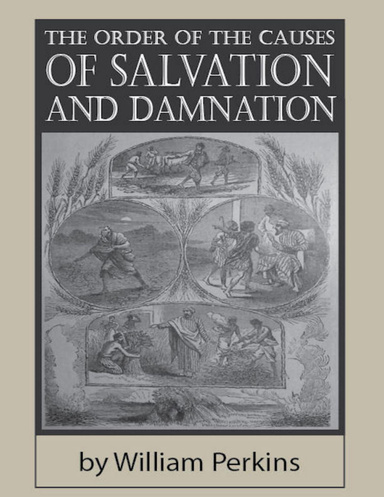 The Order of the Causes of Salvation and Damnation