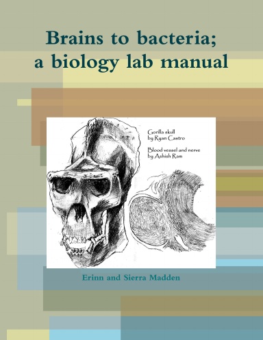 Brains to bacteria; a college biology laboratory manual