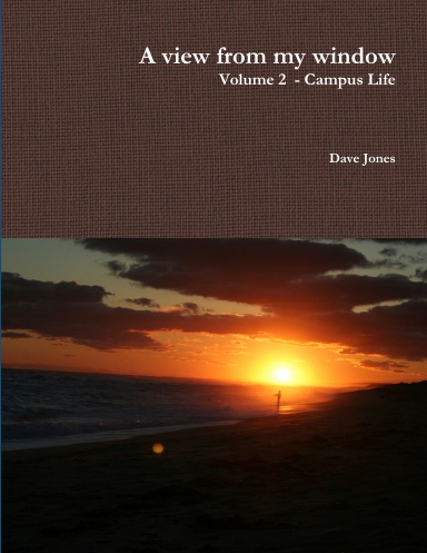 A view from my window - Volume 2 (Paperback)