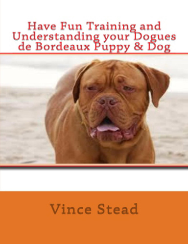 Have Fun Training and Understanding your Dogues de Bordeaux Puppy & Dog