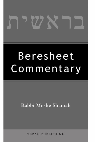 Beresheet Commentary