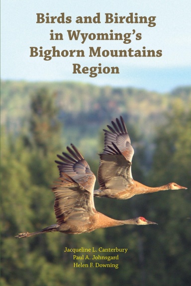 Birds and Birding in Wyoming’s Bighorn Mountains Region