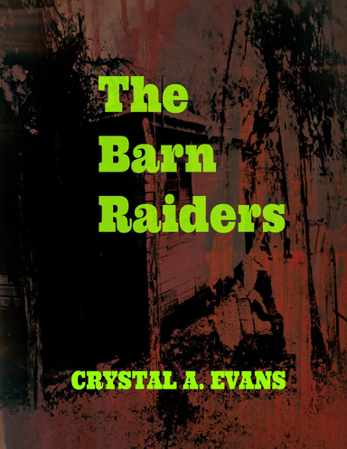 The Barn Raiders