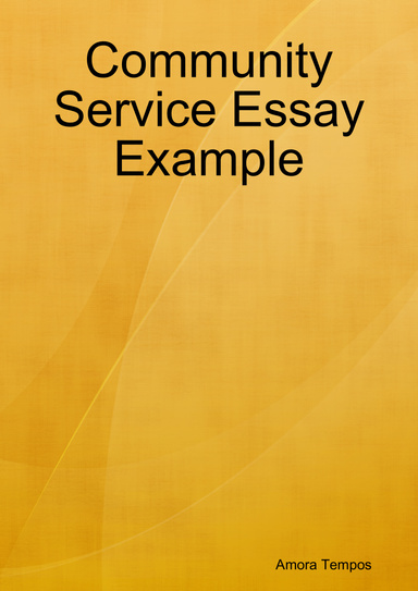 Community Service Essay Example