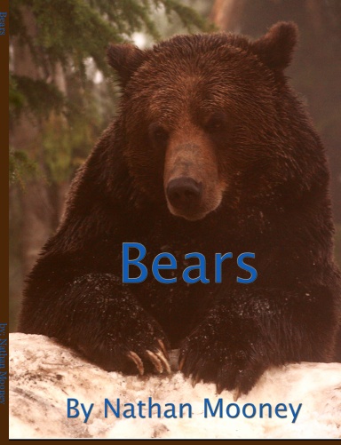 Bears