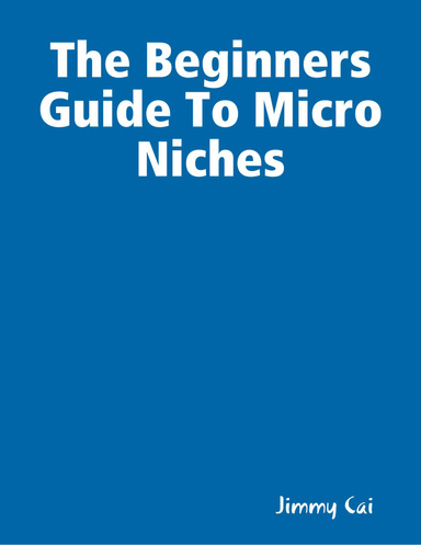 The Beginners Guide To Micro Niches