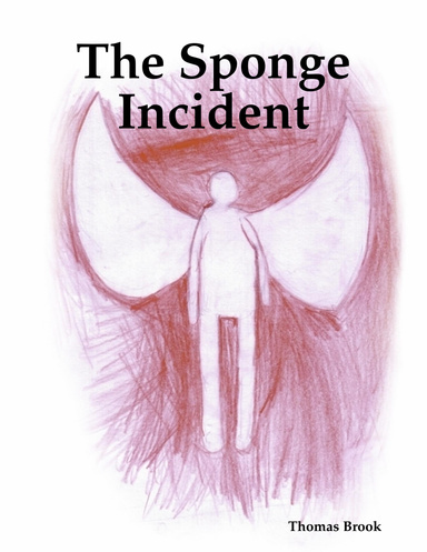 The Sponge Incident
