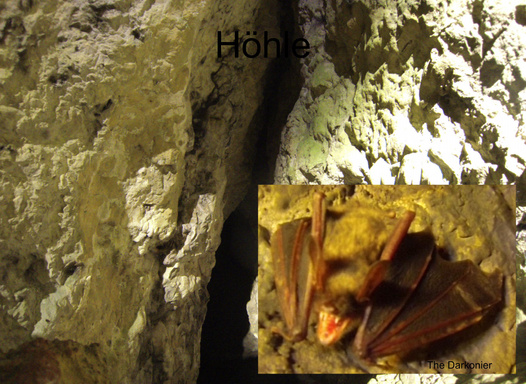 Höhle