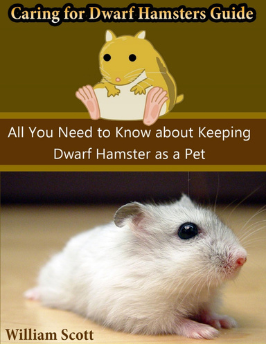 Caring for Dwarf Hamsters Guide: All You Need to Know About Keeping Dwarf Hamster As a Pet