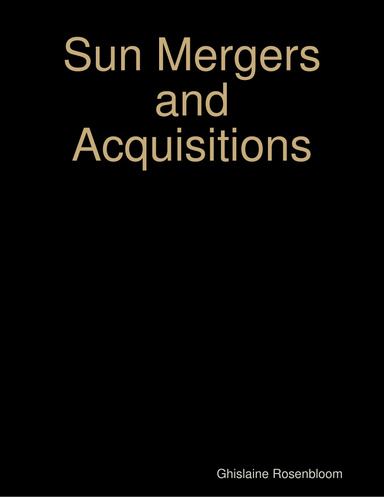 Sun Mergers and Acquisitions