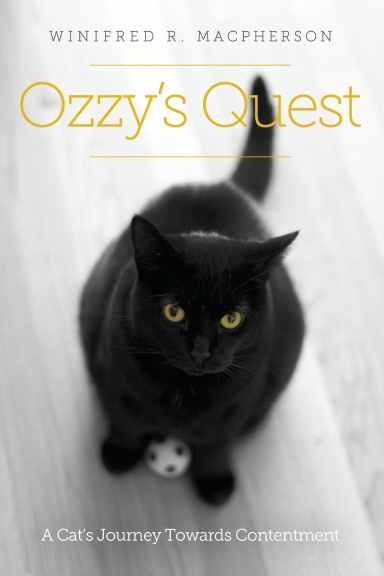 Ozzy's Quest: A Cat's Journey Towards Contentment