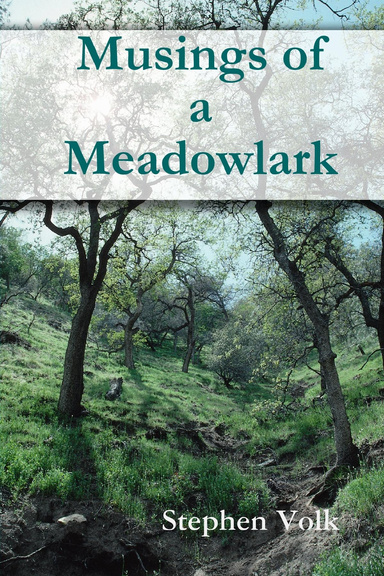 Musings of a Meadowlark