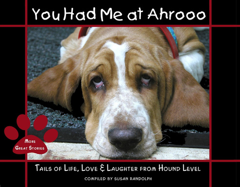 You Had Me At Ahrooo: Tails Of Life, Love, & Laughter From Hound Level Second Edition