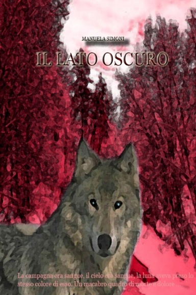 Il lato oscuro